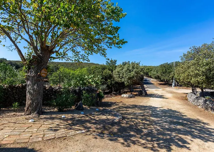 2 Bedroom Lovely In Holiday home *